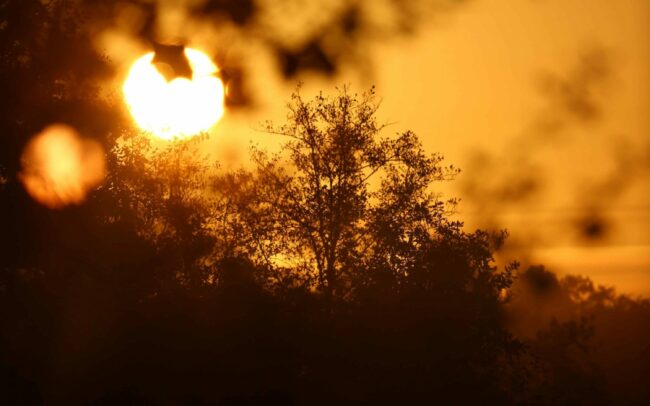 Lumiere sunset landes coucher de soleil