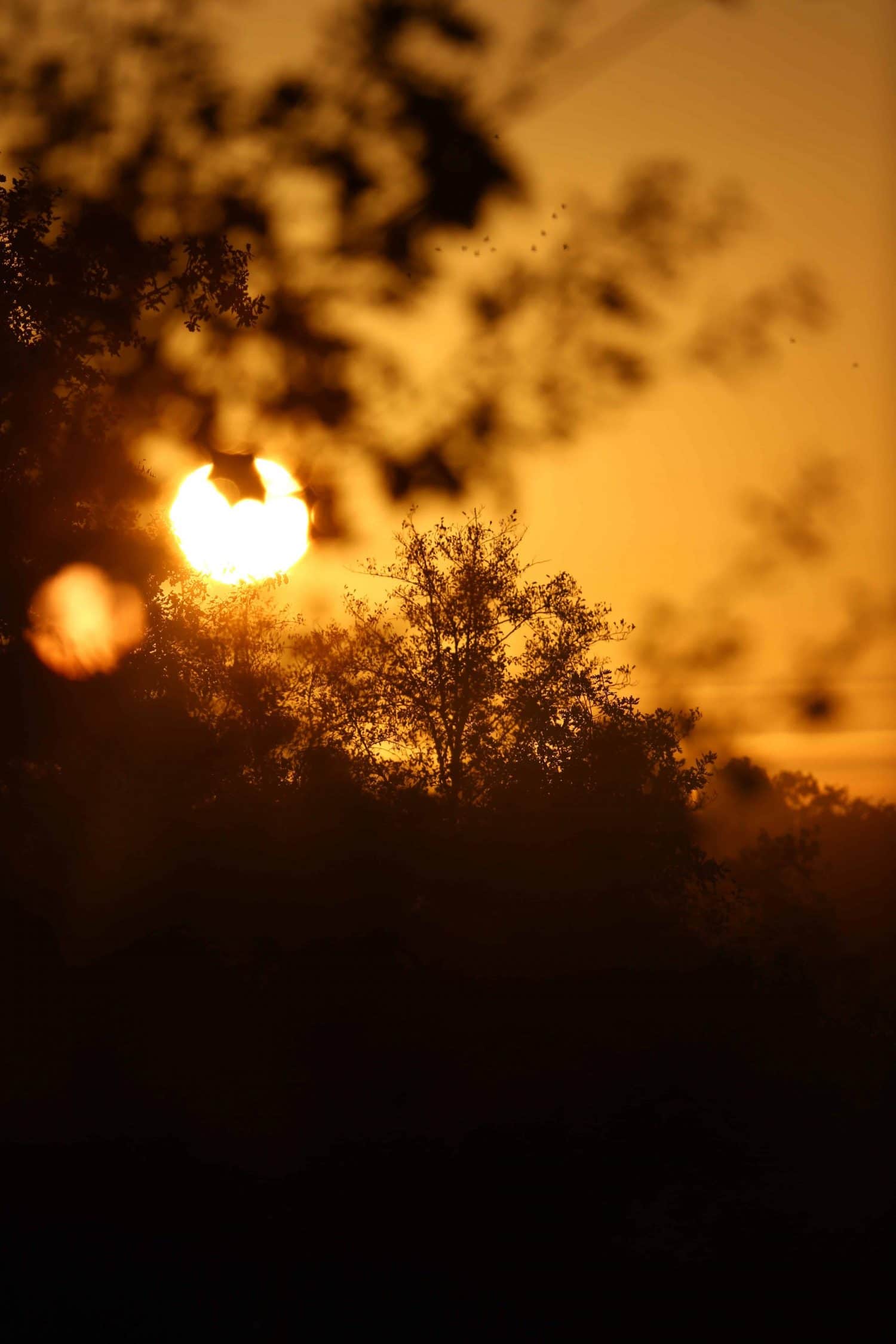Lumiere sunset landes coucher de soleil